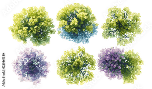 Watercolor vector of blooming tree top view isolated on white background for landscape plan, architecture drawing, garden elements, botanical elements for environment in spring
