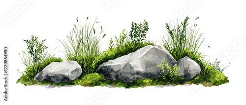 Vector illustration of grass with rock in watercolor style for landscape and architecture drawing, elements for garden and environment, botanical painting for section, meadows, moss
