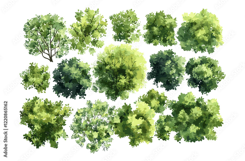 Watercolor vector tree top view isolated on white background, landscape plan elements, garden and environment layout drawing, green grass for architecture, nature design.