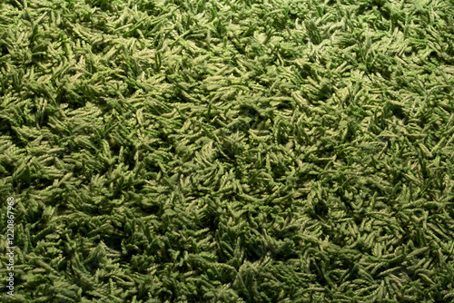 green grass texture