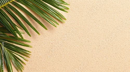 Tropical palm leaf on sandy background nature scene close-up view organic texture calm environment