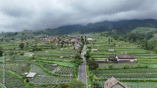 vineyard in the mountains