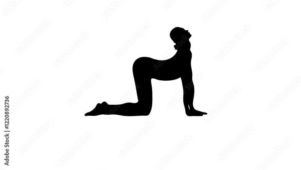woman in Cat Pose , black isolated silhouette woman in Cat Pose , black isolated silhouette