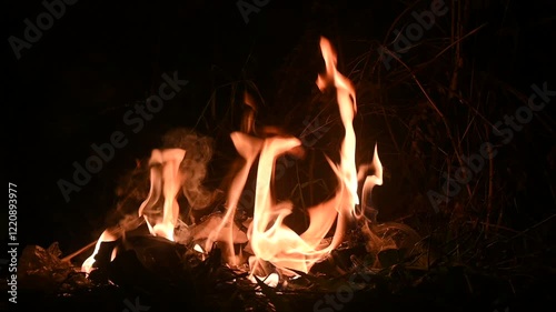 fire in the forest. Fireplace at night. Slow motion fireplace