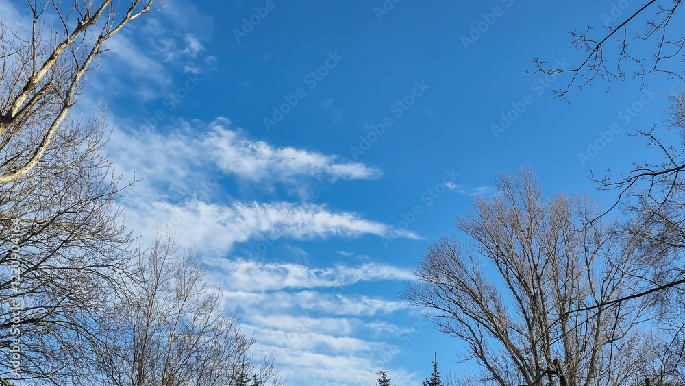 Blue sky with cirrus clouds over the city. Winter warm day. Trees without leaves Blue sky with cirrus clouds over the city. Winter warm day. Trees without leaves