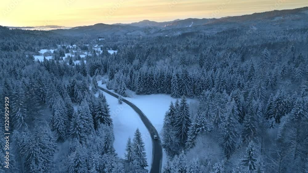 Frosty valley with car traveling through empty countryside path aerial view. Vehicle riding along coniferous forest road at sunrise drone shot