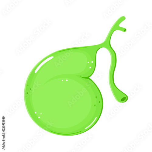 Gallbladder. Vector hand drawn cartoon kawaii character illustration icon. Isolated on white background. Gallbladder concept