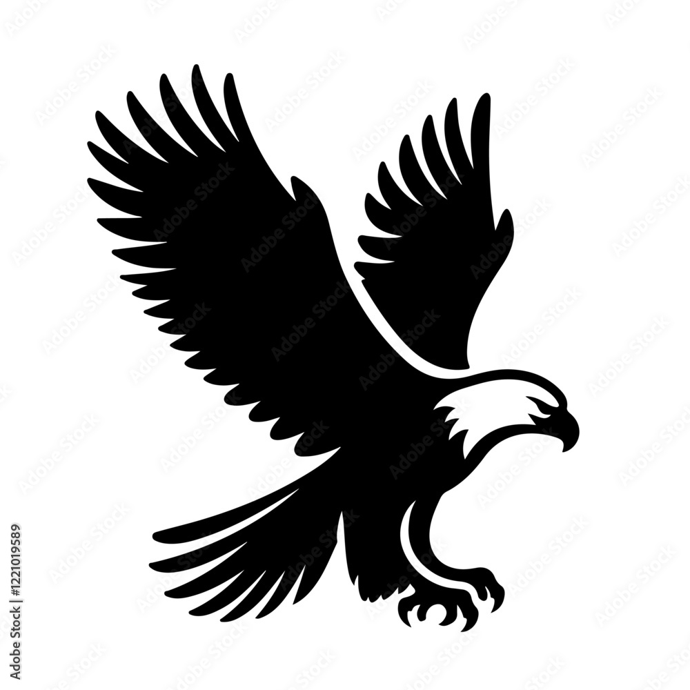Obraz premium eagle in flight