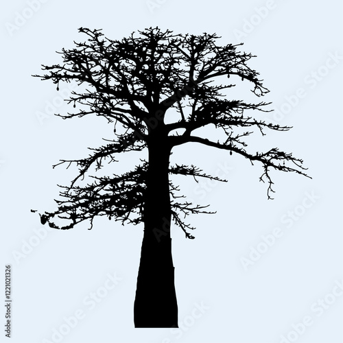 Baobab Tree silhouette african trees Vector in isolated white background. 