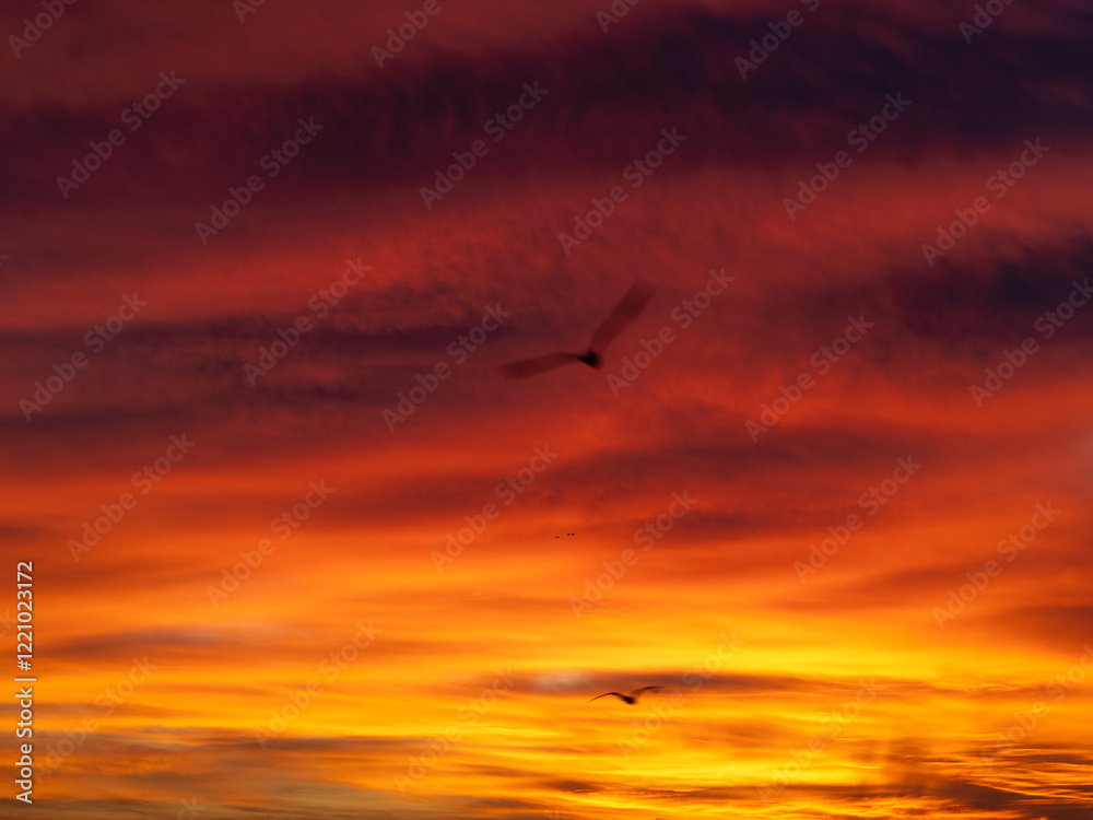 Dusk, Sunset Sky Clouds in the Evening with colorful Orange, Yellow, Pink and red sunlight and Dramatic storm clouds on Twilight sky, Landscape horizon Dusk, Sunset Sky Clouds in the Evening with colorful Orange, Yellow, Pink and red sunlight and Dramatic storm clouds on Twilight sky, Landscape horizon