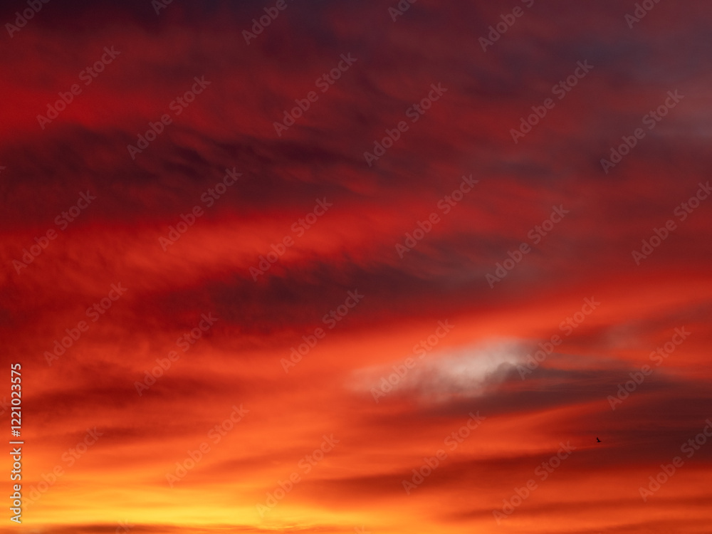 Dusk, Sunset Sky Clouds in the Evening with colorful Orange, Yellow, Pink and red sunlight and Dramatic storm clouds on Twilight sky, Landscape horizon Dusk, Sunset Sky Clouds in the Evening with colorful Orange, Yellow, Pink and red sunlight and Dramatic storm clouds on Twilight sky, Landscape horizon