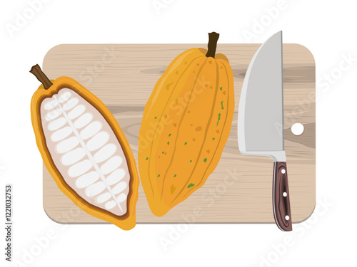 Fresh cocoa fruit on white background.