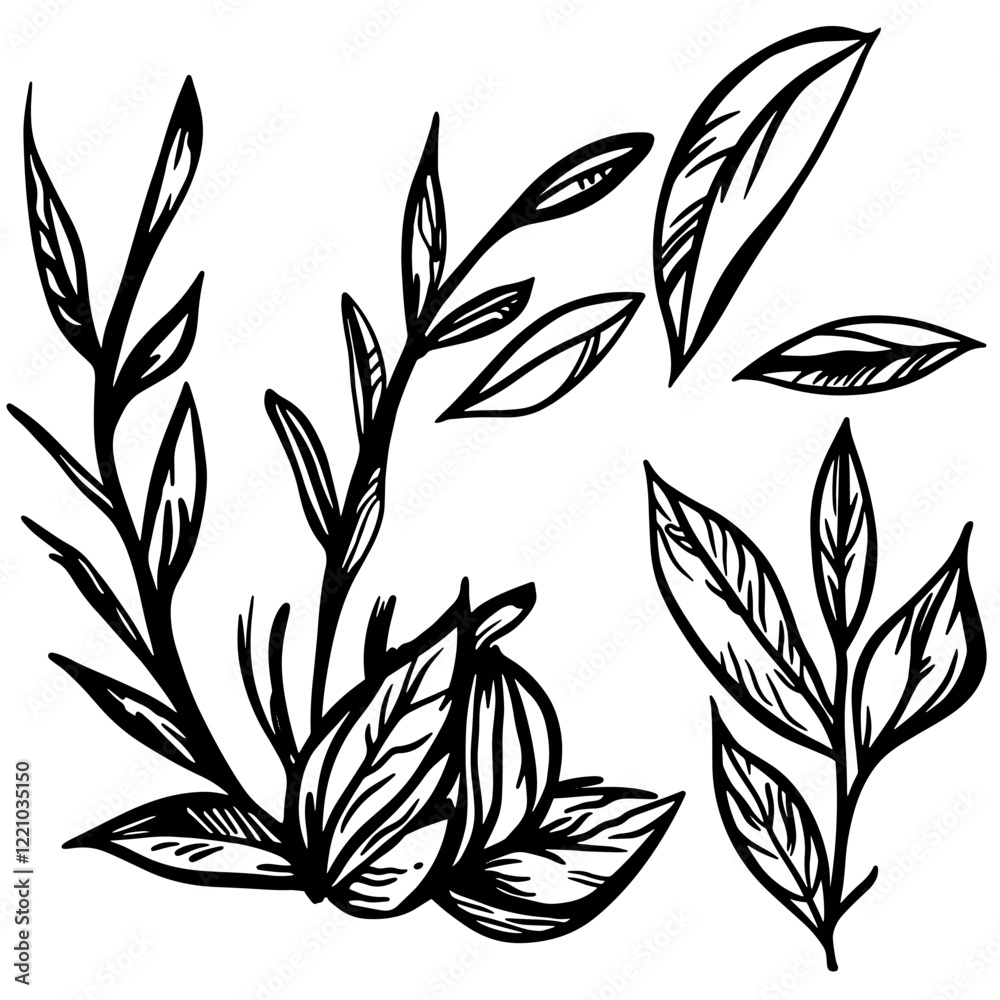 Fototapeta premium Detailed Cocktail Vector Art Collection for Creative and Professional Use