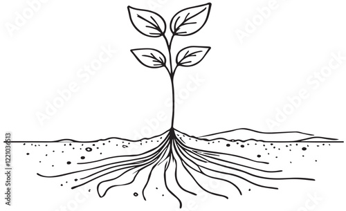 line art of a growing plant with leaves and roots symbolizing growth nature and sustainability. vector