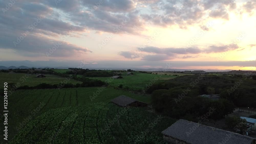 Tabaco farm in the Dominican Republic 