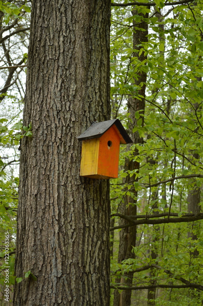 orange birdhouse for birds in the forest orange birdhouse for birds in the forest