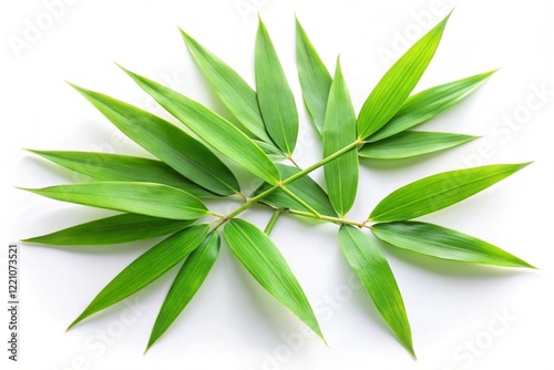 Wallpaper Mural bamboo leaves isolated on white background Torontodigital.ca