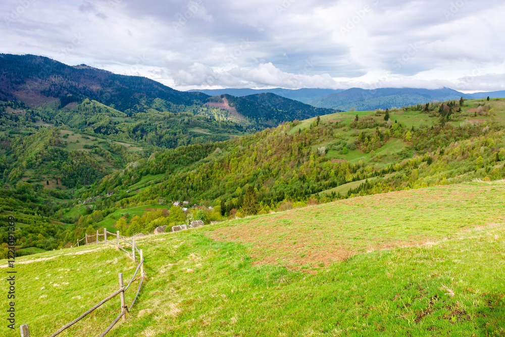 beautiful countryside of ukraine. green environment. cloudy morning. wonderful springtime landscape in mountains. grassy field and rolling hills. rural scenery. scenic view
