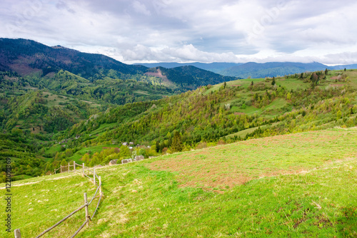 Obraz na płótnie beautiful countryside of ukraine. green environment. cloudy morning. wonderful springtime landscape in mountains. grassy field and rolling hills. rural scenery. scenic view w salonie