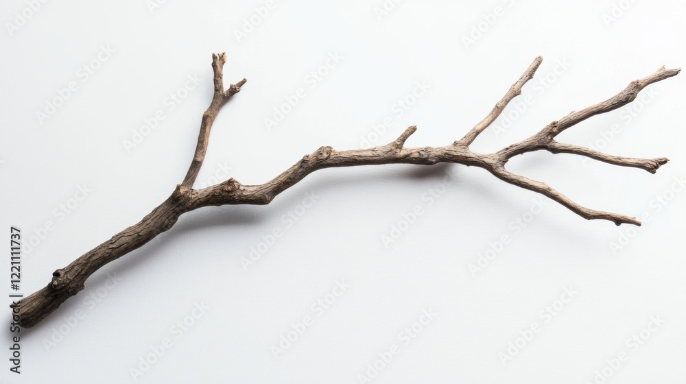 Elegant Rustic Branch: A Minimalist Nature's Art Piece Elegant Rustic Branch: A Minimalist Nature's Art Piece