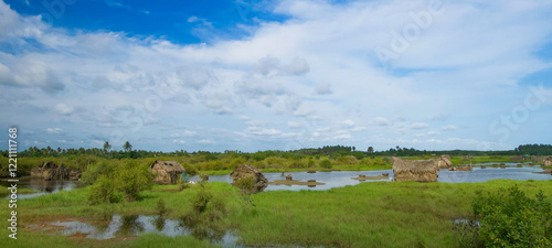 Beautiful view of Djègbadji, Benin photo