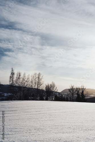 The cultural landscape of Toten, Norway, a day in January 2025. photo