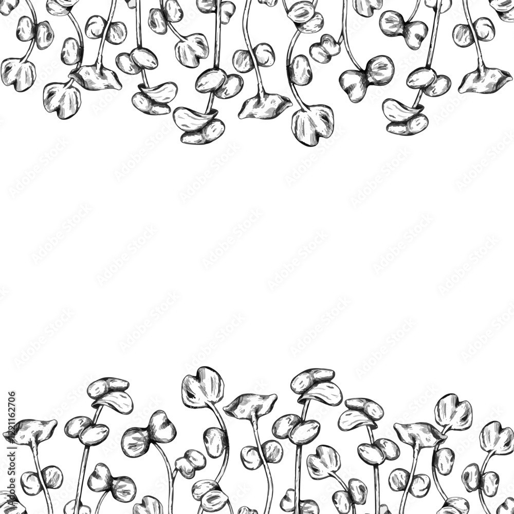 A vector border of farmers radish micro greens in black ink graphically. Equipment for gardens, greenhouses and florists. Healthy organic green food. Agriculture, cultivation of plants, flowers A vector border of farmers radish micro greens in black ink graphically. Equipment for gardens, greenhouses and florists. Healthy organic green food. Agriculture, cultivation of plants, flowers