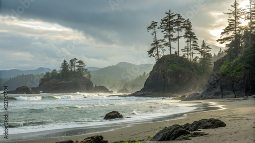 Misty Coastline Composition...