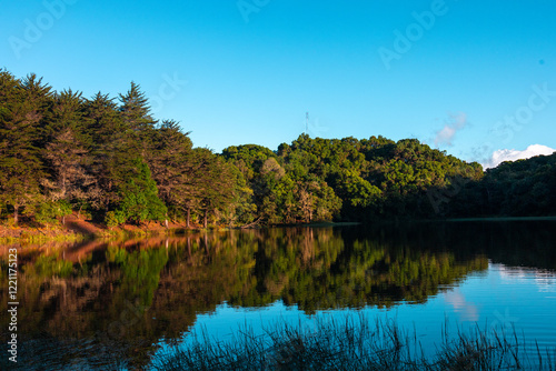  Tress in Laguna Don Manuel en Costa Rica