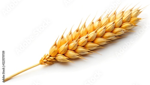 Golden Wheat Ear, Ripe Grain, Harvest Bounty, Agriculture, Cereal