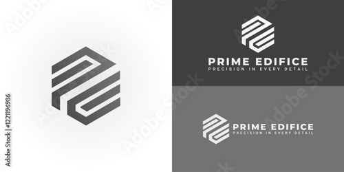 The dynamic logo design features the initials PE creatively integrated within a striking hexagonal shape, creating a unique and visually striking symbol that evokes a sense of structure and precision