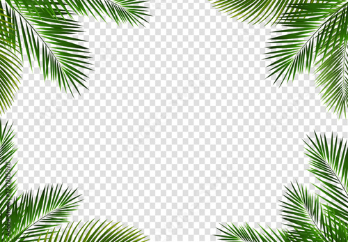 palm frame