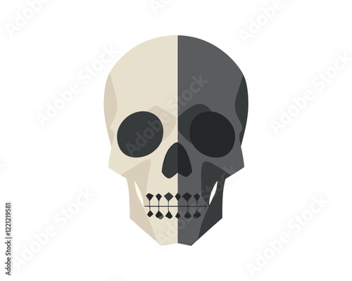 Skull art black and white hand drawn illustrations vector