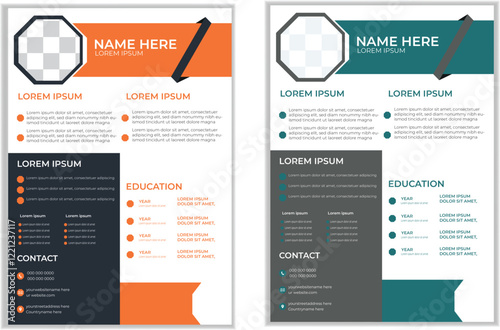 Professional CV template for high impact job applications