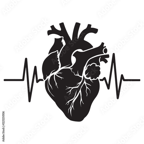 Anatomical heart vector silhouette icon. heartbeat, cardiovascular, anatomy, medical, health, cardiology illustration, biology, organ, human heart collection