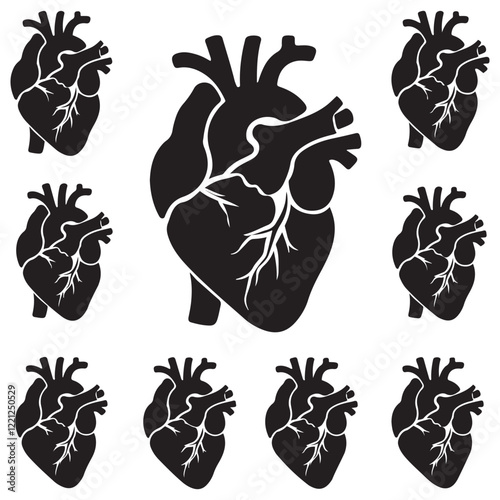 Anatomical heart vector silhouette icon. heartbeat, cardiovascular, anatomy, medical, health, cardiology illustration, biology, organ, human heart collection