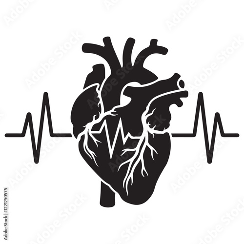 Anatomical heart vector silhouette icon. heartbeat, cardiovascular, anatomy, medical, health, cardiology illustration, biology, organ, human heart collection