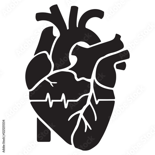 Anatomical heart vector silhouette icon. heartbeat, cardiovascular, anatomy, medical, health, cardiology illustration, biology, organ, human heart collection
