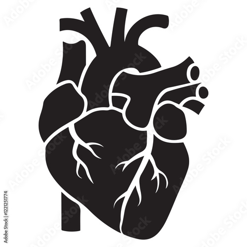 Anatomical heart vector silhouette icon. heartbeat, cardiovascular, anatomy, medical, health, cardiology illustration, biology, organ, human heart collection
