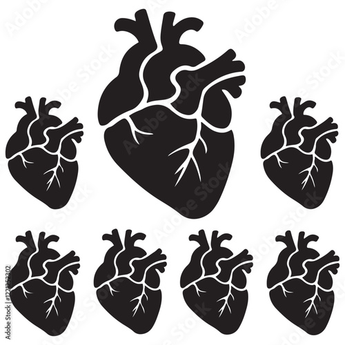 Anatomical heart vector silhouette icon. heartbeat, cardiovascular, anatomy, medical, health, cardiology illustration, biology, organ, human heart collection