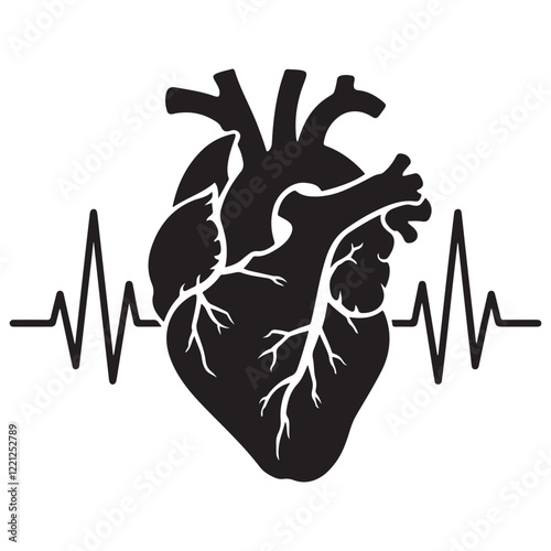 Anatomical heart vector silhouette icon. heartbeat, cardiovascular, anatomy, medical, health, cardiology illustration, biology, organ, human heart collection