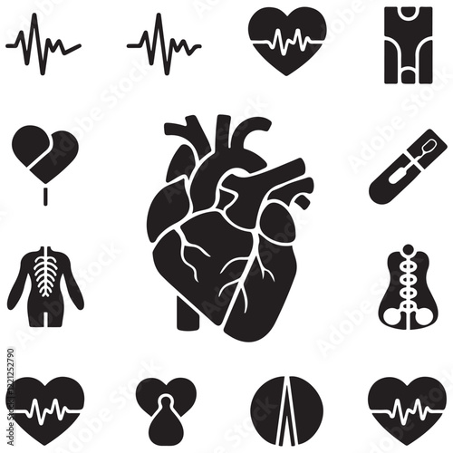 Anatomical heart vector silhouette icon. heartbeat, cardiovascular, anatomy, medical, health, cardiology illustration, biology, organ, human heart collection