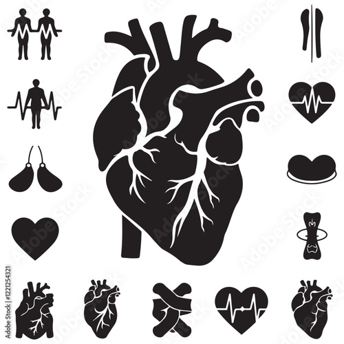 Anatomical heart vector silhouette icon. heartbeat, cardiovascular, anatomy, medical, health, cardiology illustration, biology, organ, human heart collection