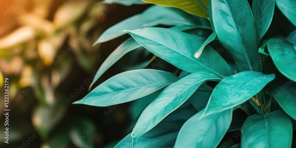 Obraz premium Vibrant green foliage with sunlit leaves in a natural setting