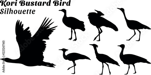Kori Bustard Bird silhouette vector illustration set