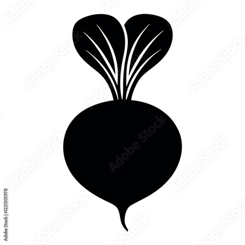 Radish vector illustration
