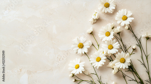 Delicate white daisies arranged on a beige marble background.  Perfect for spring or summer themes, greeting cards, or feminine designs.