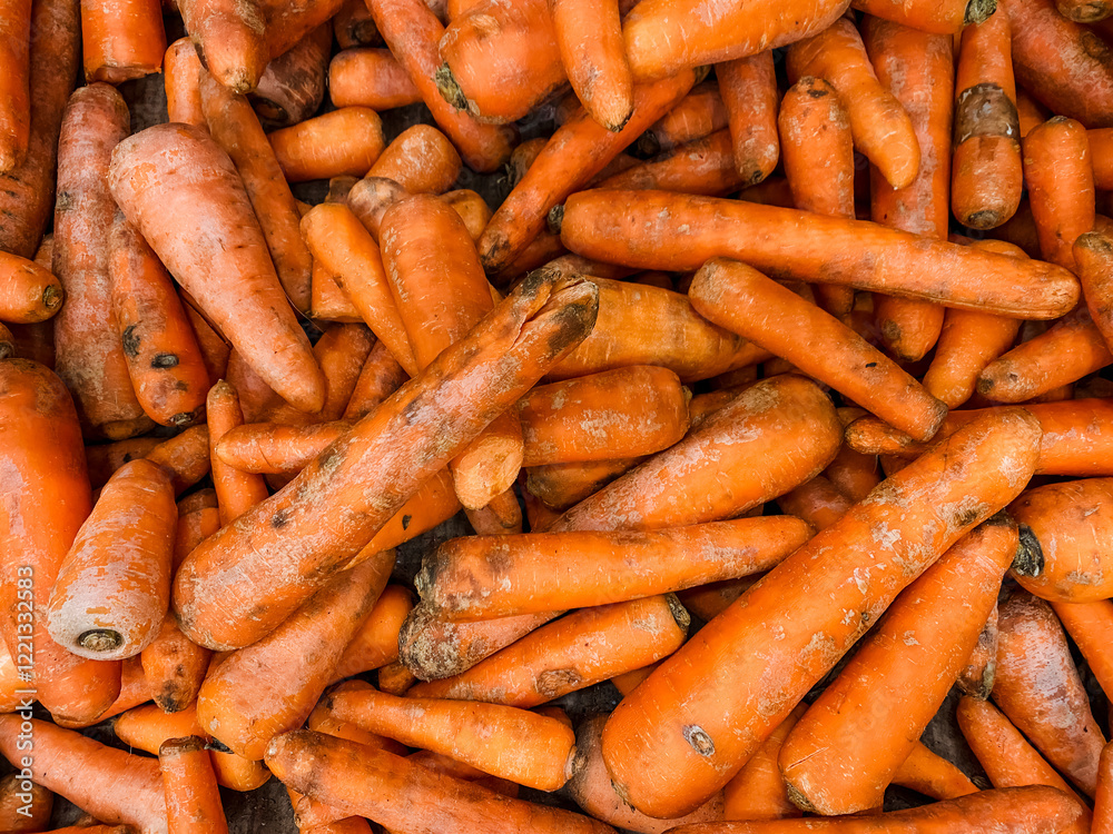 There is a sizable pile of fresh carrots, arranged neatly as they sit on top of each other. These vibrant orange vegetables are ready to be used in various dishes or enjoyed raw There is a sizable pile of fresh carrots, arranged neatly as they sit on top of each other. These vibrant orange vegetables are ready to be used in various dishes or enjoyed raw