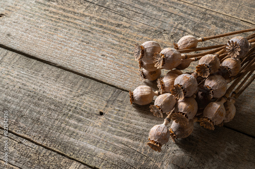 Poppy heads lie on an old wooden table. Poppy harvest