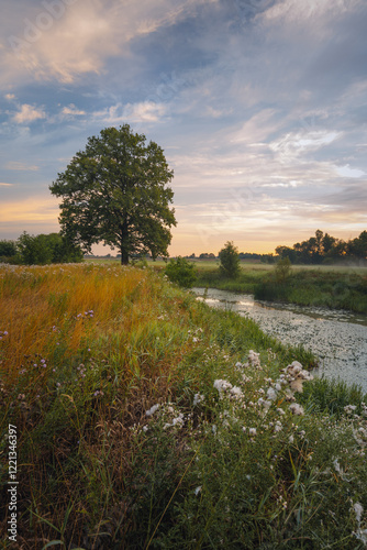 Obraz na płótnie Sunrise over the Odrą oxbow lake in Opole Voivodeship, with mist rising above calm waters, golden light reflecting on the surface, and silhouettes of trees creating a peaceful, natural scene w salonie